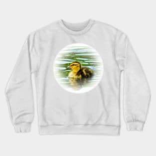 Duckling Crewneck Sweatshirt